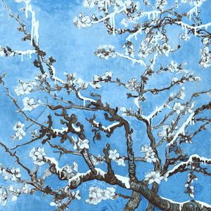 捷克街头钞能力免费观看在线播放
