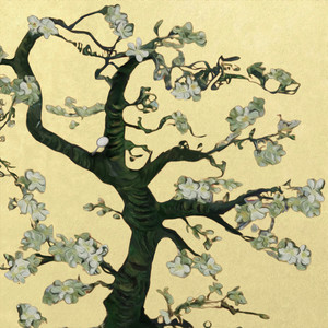 捷克街头钞能力免费观看在线播放
