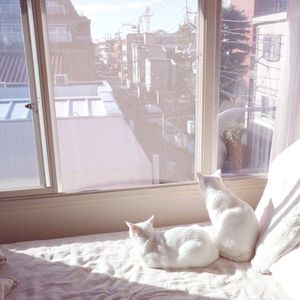 捷克街头钞能力免费观看在线播放
