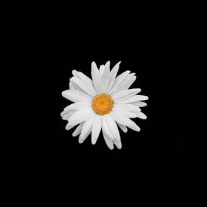 捷克街头钞能力免费观看在线播放
