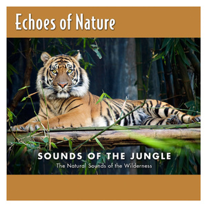 捷克街头钞能力免费观看在线播放
