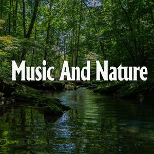 捷克街头钞能力免费观看在线播放
