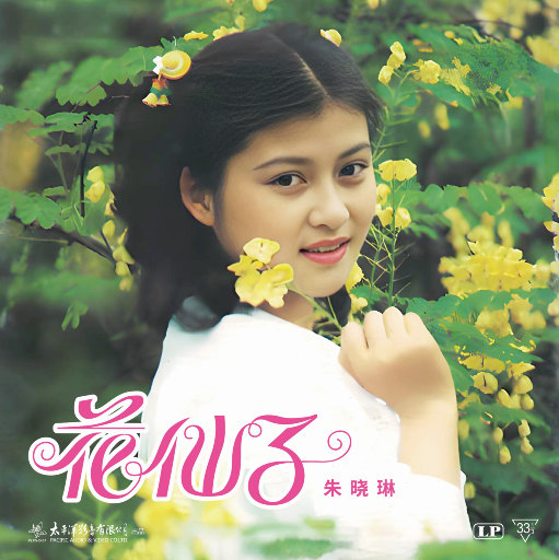 捷克街头钞能力免费观看在线播放
