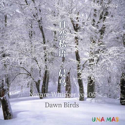 捷克街头钞能力免费观看在线播放
