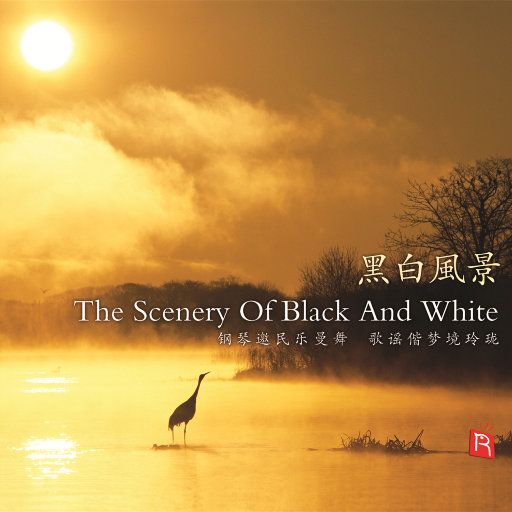 捷克街头钞能力免费观看在线播放
